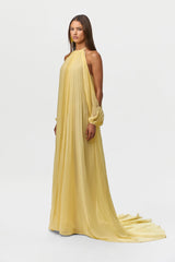 Chiffon Pleated Gown