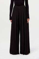 Pleated Wide Leg Pant
