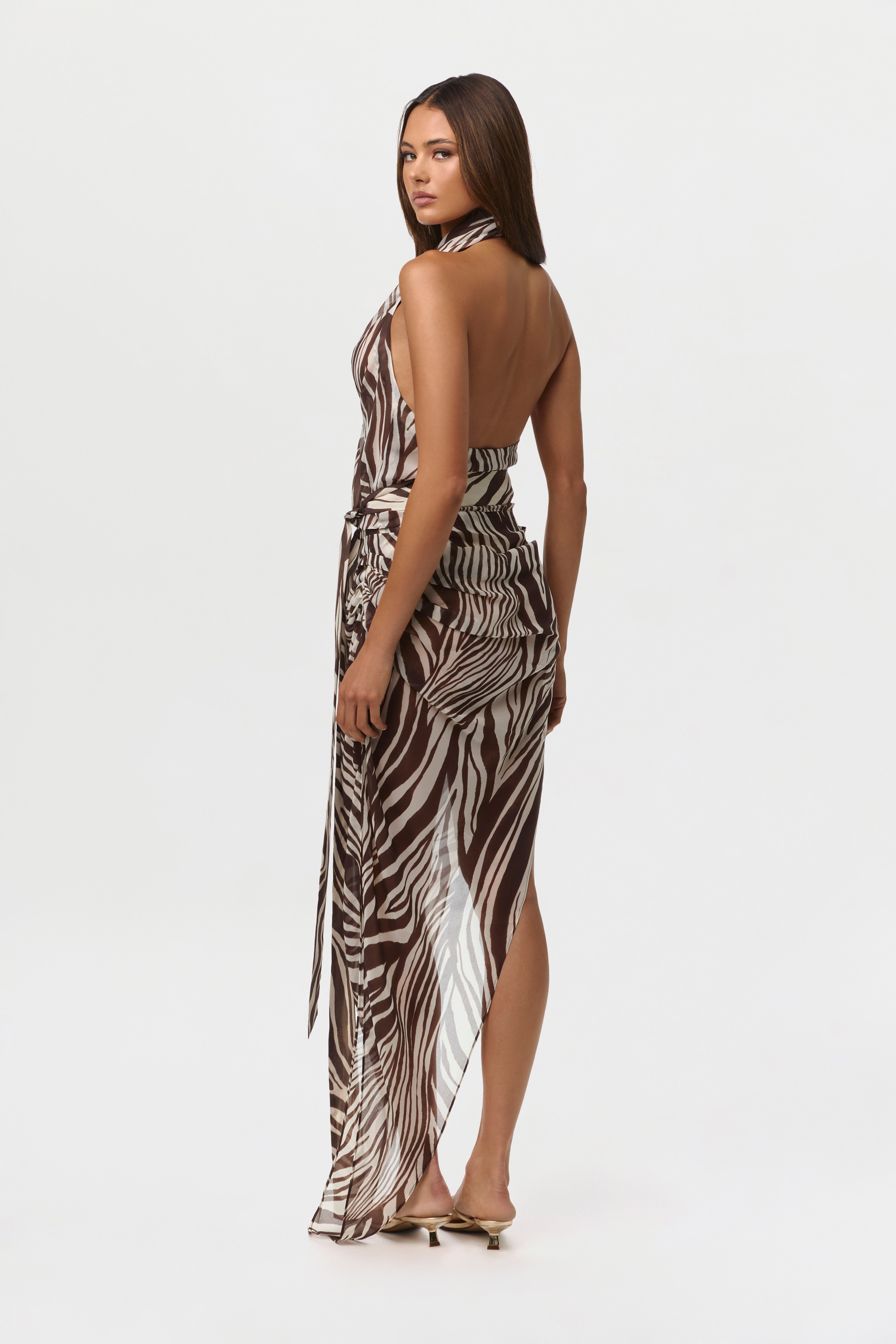 Chiffon Print Asymmetrical Skirt